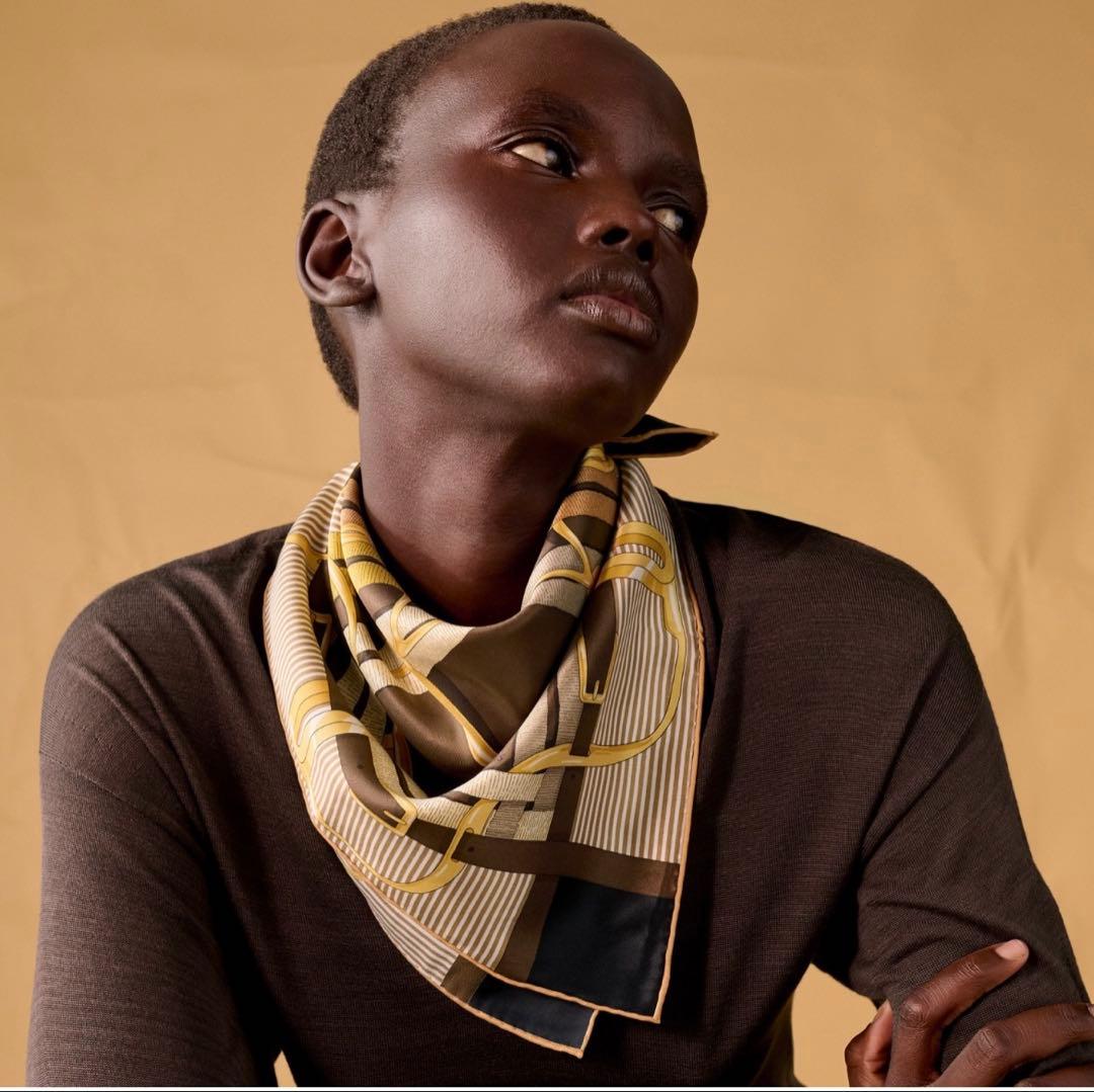 【美品】エルメス　HERMES カレ 70 馬銜・シュミーズ