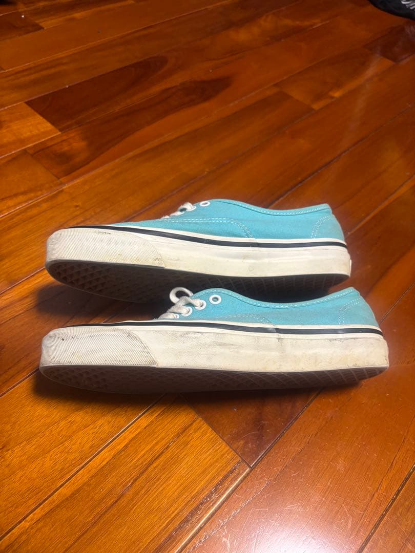 VANS オーセンティック 44DX アナハイム　希少カラー26.5