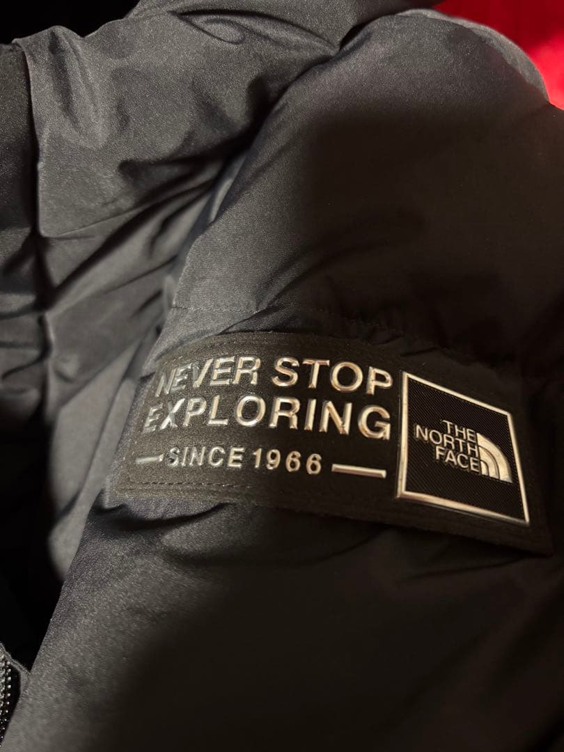 THE NORTH FACE バイタルEXダウン 韓国限定　黒 ダウンジャケット