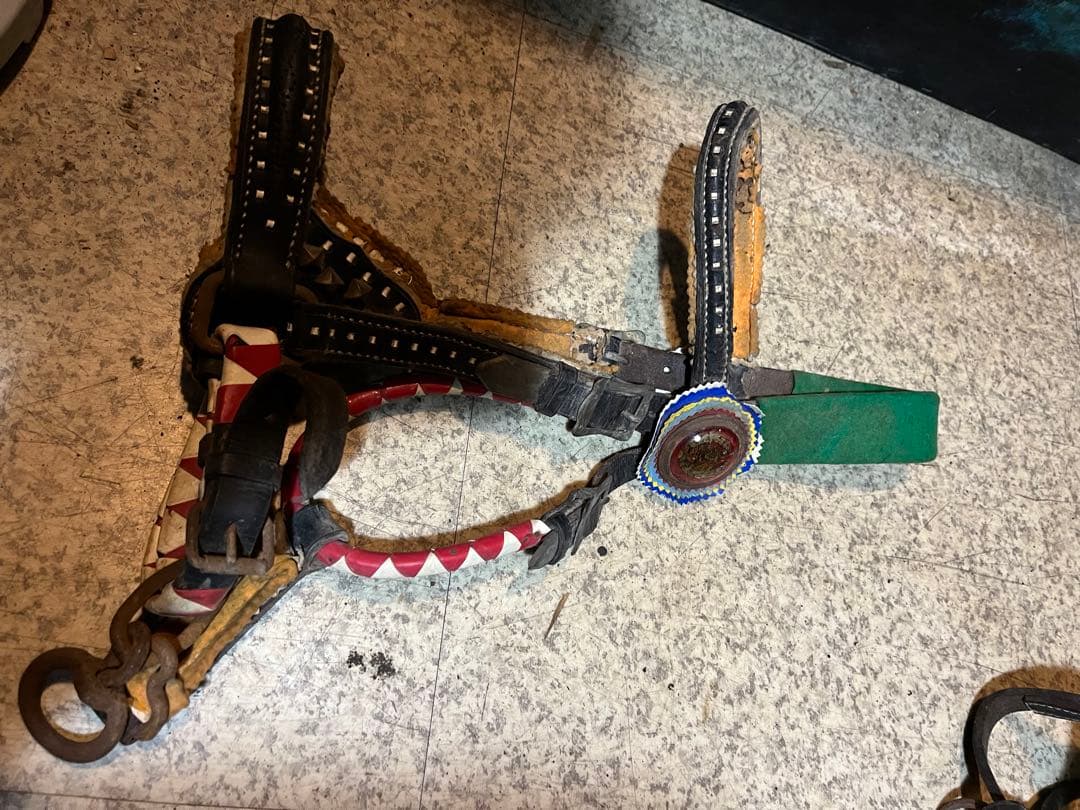 馬具、乗馬、おもがい、くつわ、ハミ、競馬、競争馬