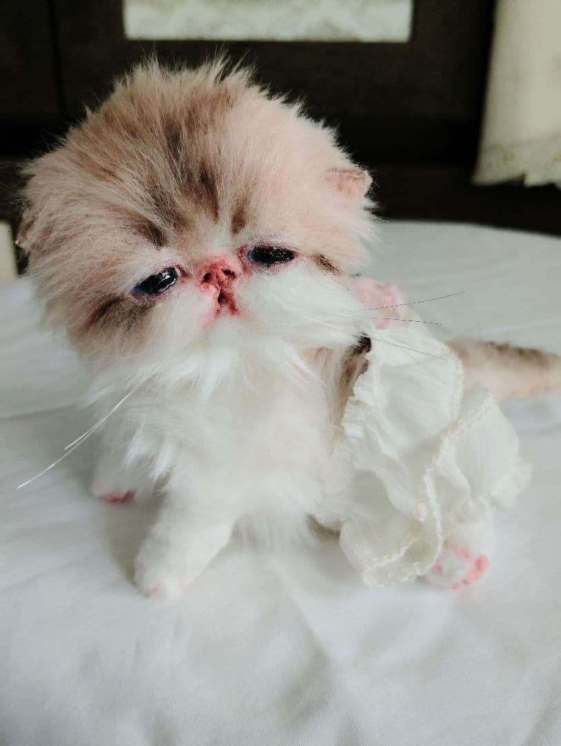 あちゃん様御予約❤ミーナちゃんと♡生後10日♡うるうるオメメの子猫ちゃん♡