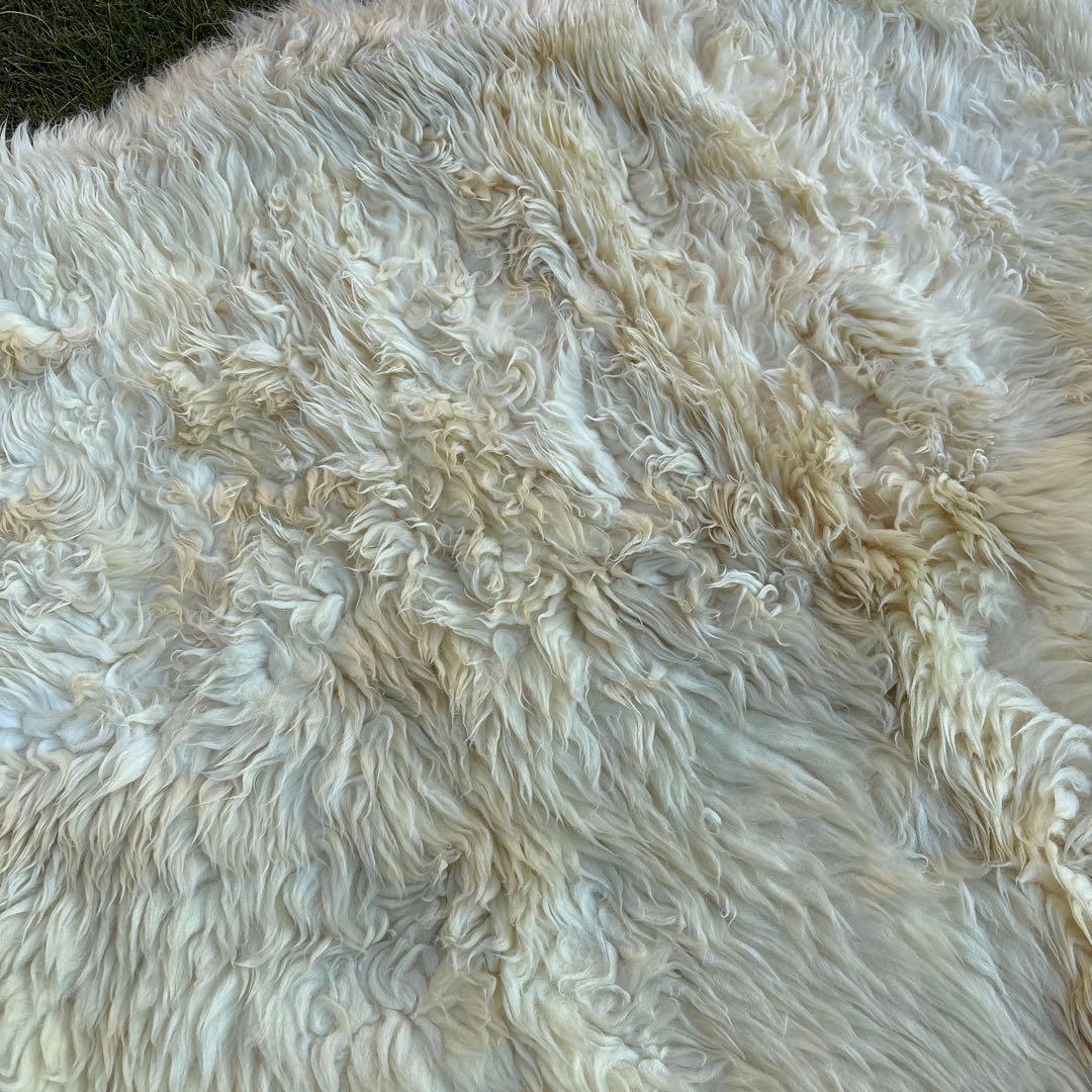 C*t様 羊毛ラグ 長毛　ムートン 大きな ニュージーランドBowron ボーロ