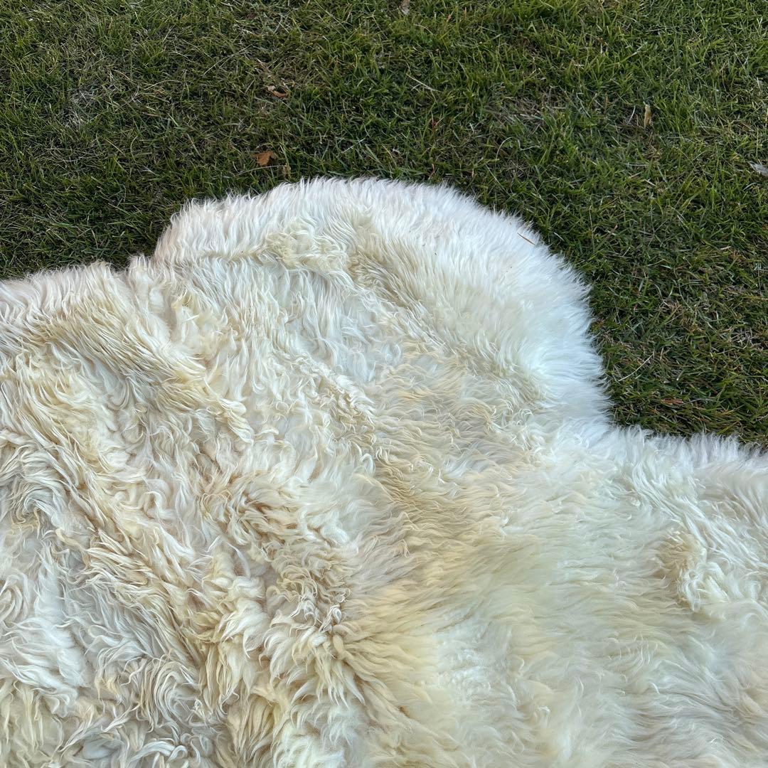 C*t様 羊毛ラグ 長毛　ムートン 大きな ニュージーランドBowron ボーロ