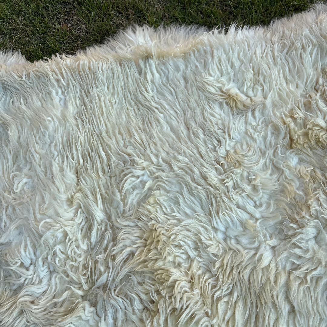 C*t様 羊毛ラグ 長毛　ムートン 大きな ニュージーランドBowron ボーロ
