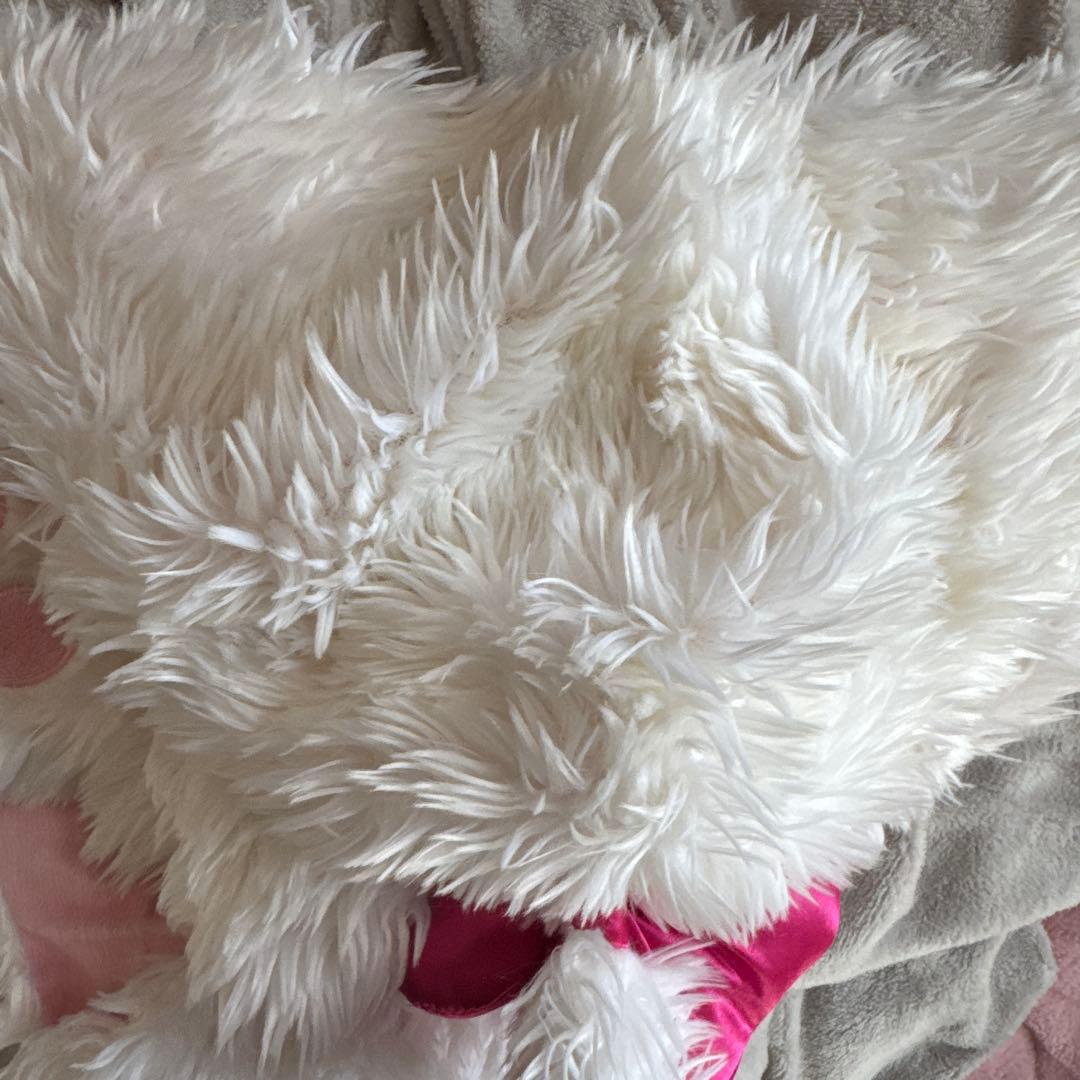 ん*む様 マリーちゃん マフラー