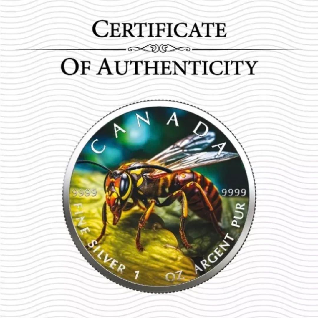 世界100枚限定！ メイプルリーフ 銀貨 カラー スズメバチ 森の自然融和
