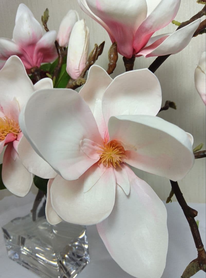 【美品】エミリオロバ　EMILIO ROBBA　マグノリア　モクレン　木蓮