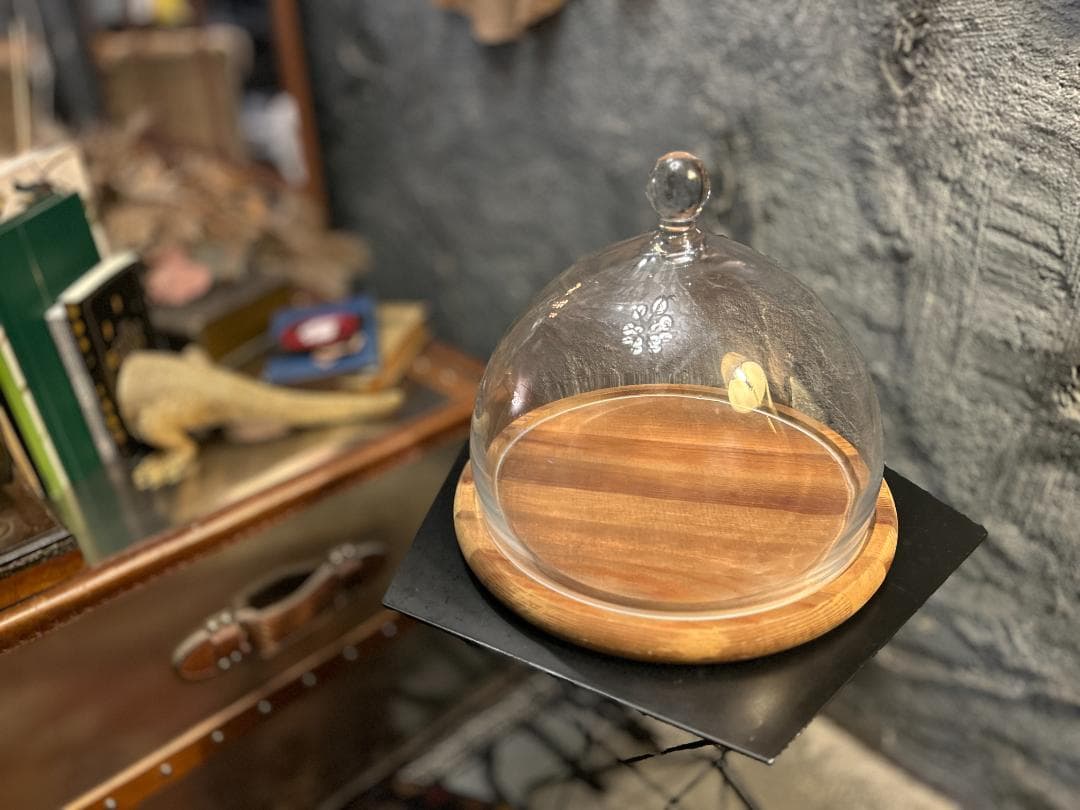 ｟希少・終売・美品｠DULTON / ダルトン　ガラスドーム　ディスプレイケース