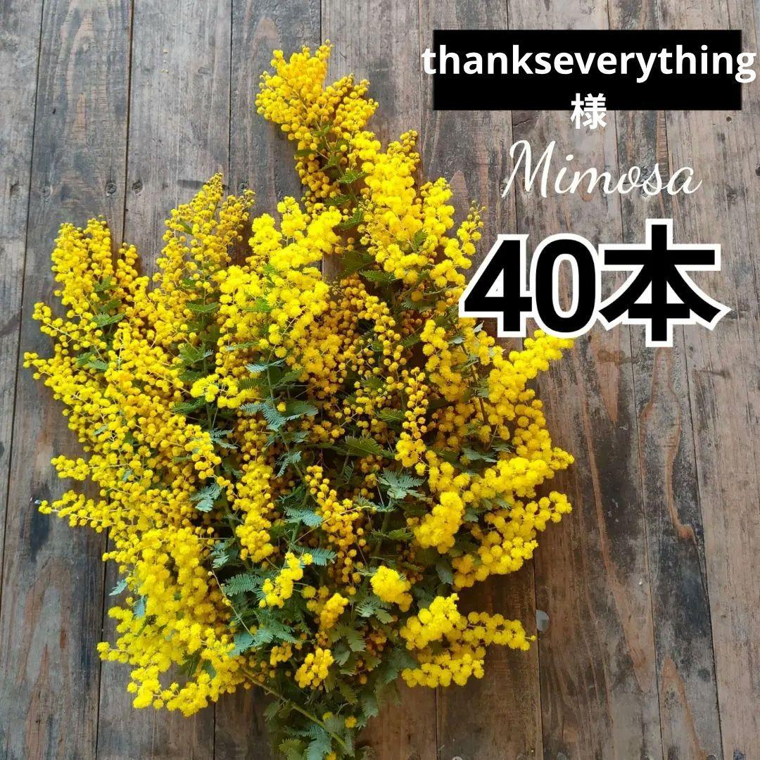 thankseverythingページ