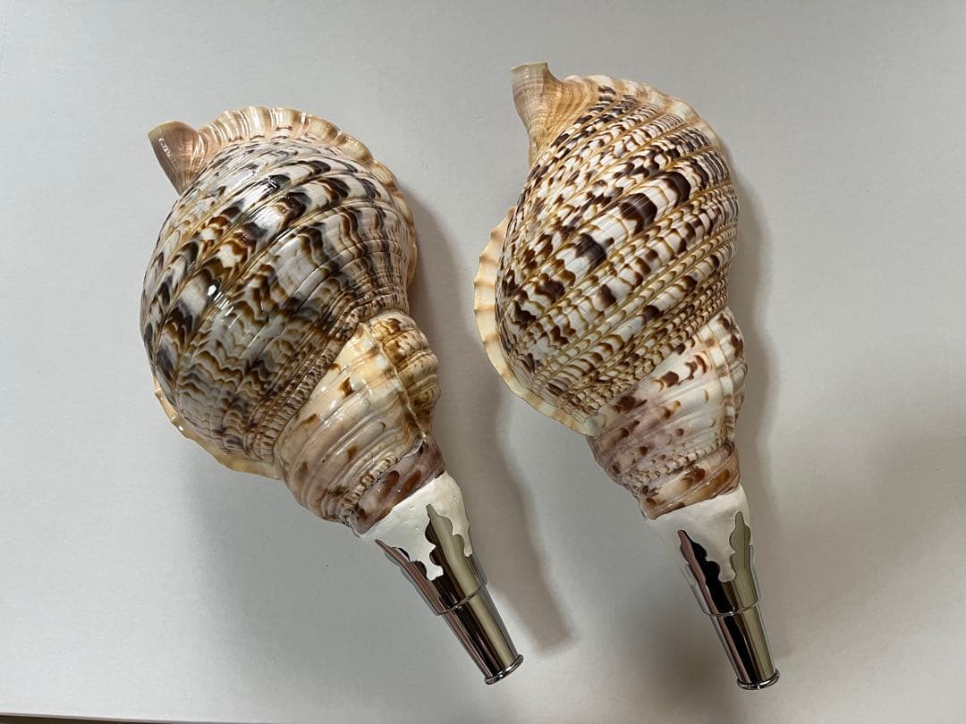 法螺貝2個セット
