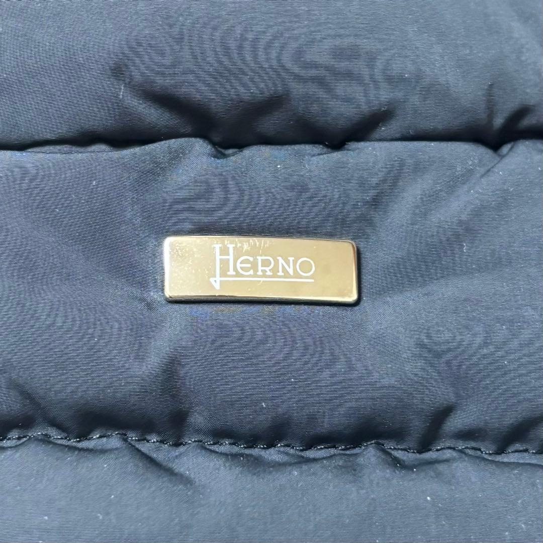 ✨️極美品 ヘルノ ロング丈 ダウンコート ポーラテック 44 XL 2WAY