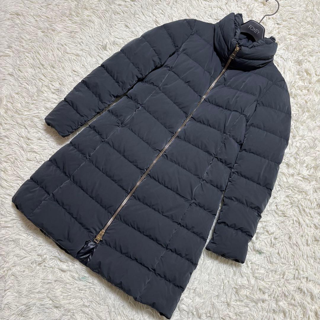 ✨️極美品 ヘルノ ロング丈 ダウンコート ポーラテック 44 XL 2WAY