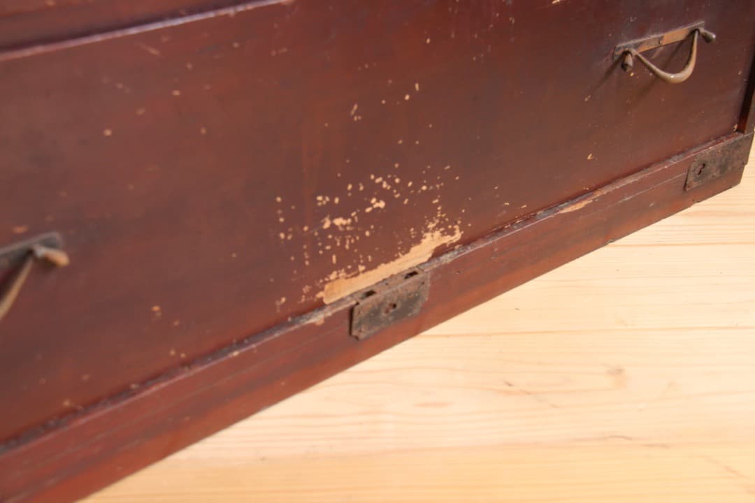 【アップルミント】