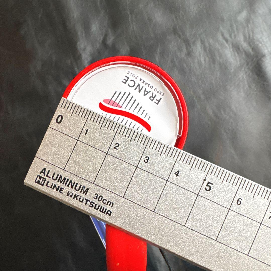 【新品未使用】万博フランス館限定 Gobiエコボトル