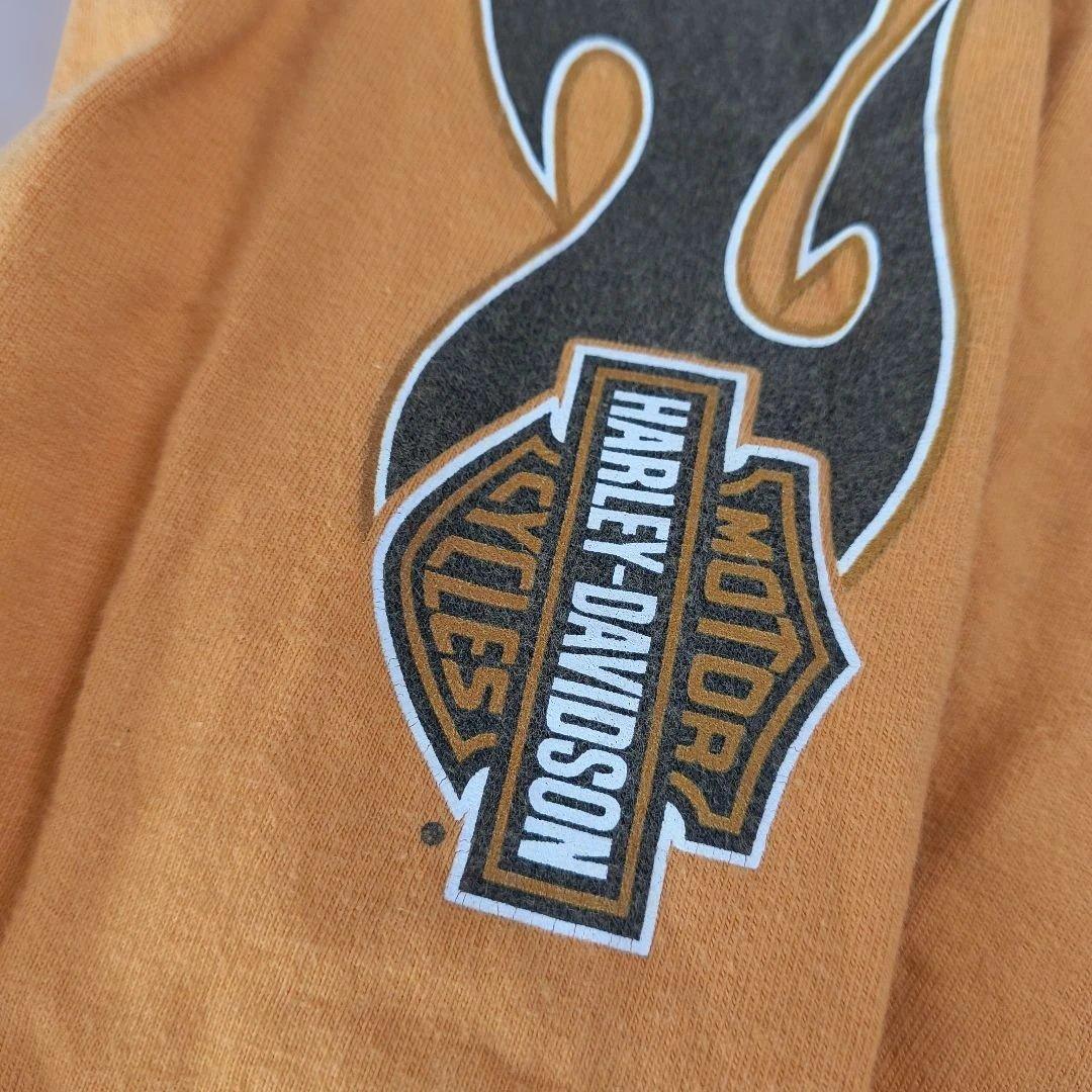 ハーレーダビッドソン　ロンT　USA　袖フレイム