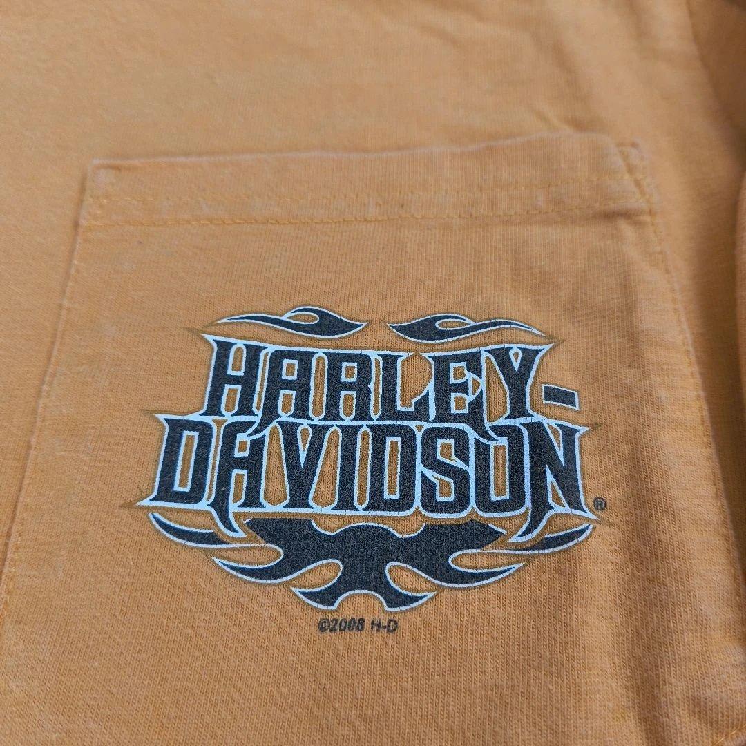 ハーレーダビッドソン　ロンT　USA　袖フレイム