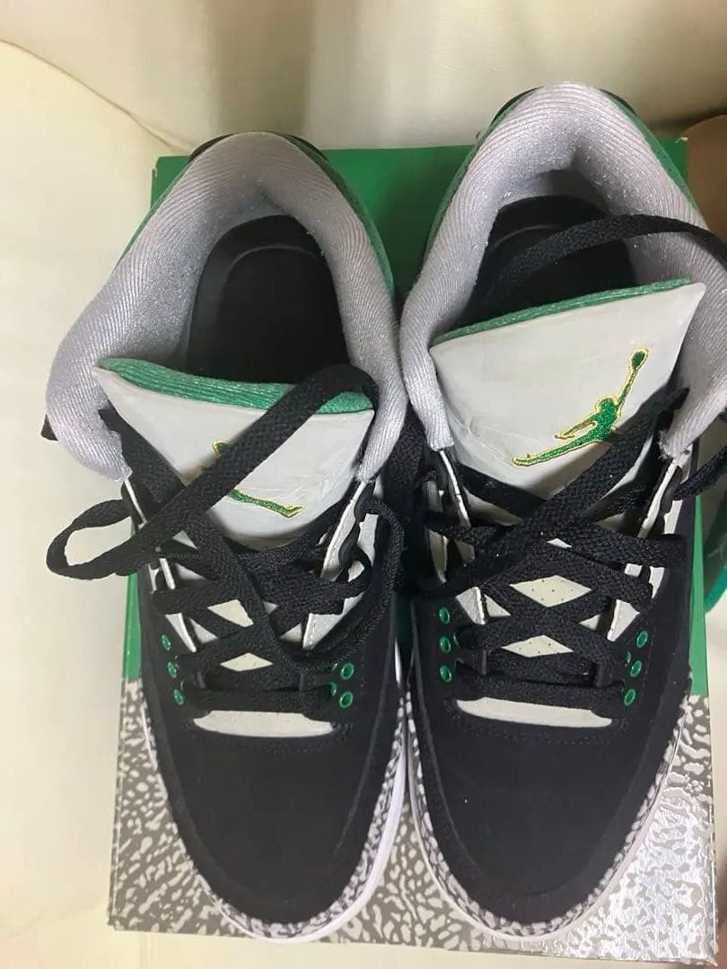 靴 AIR JORDAN3 PINE GREEN 26.5