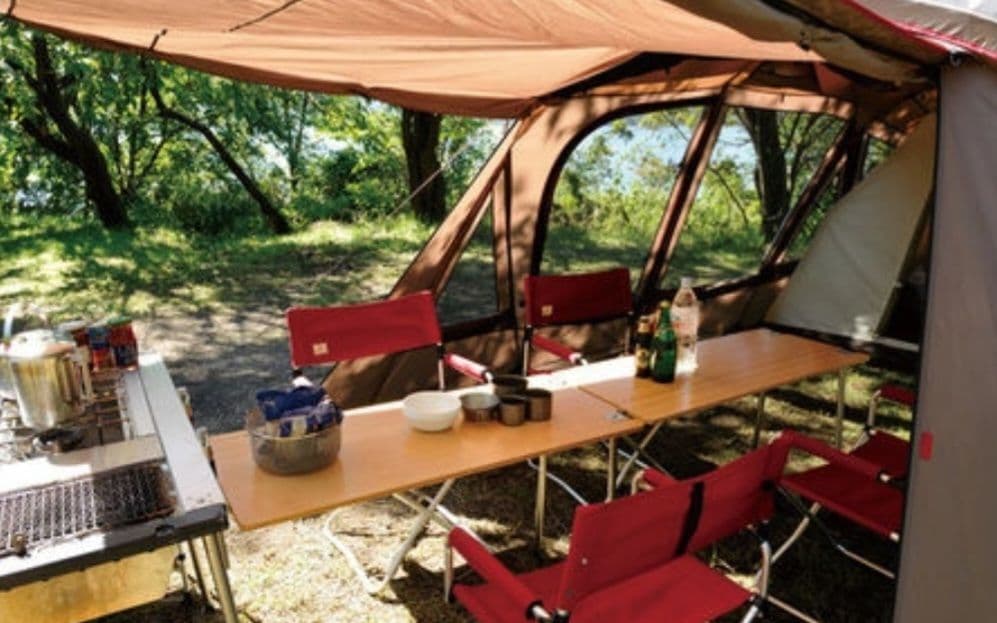 【美品】【夏セール】  peakトルテュプロ TP770R最終モデル