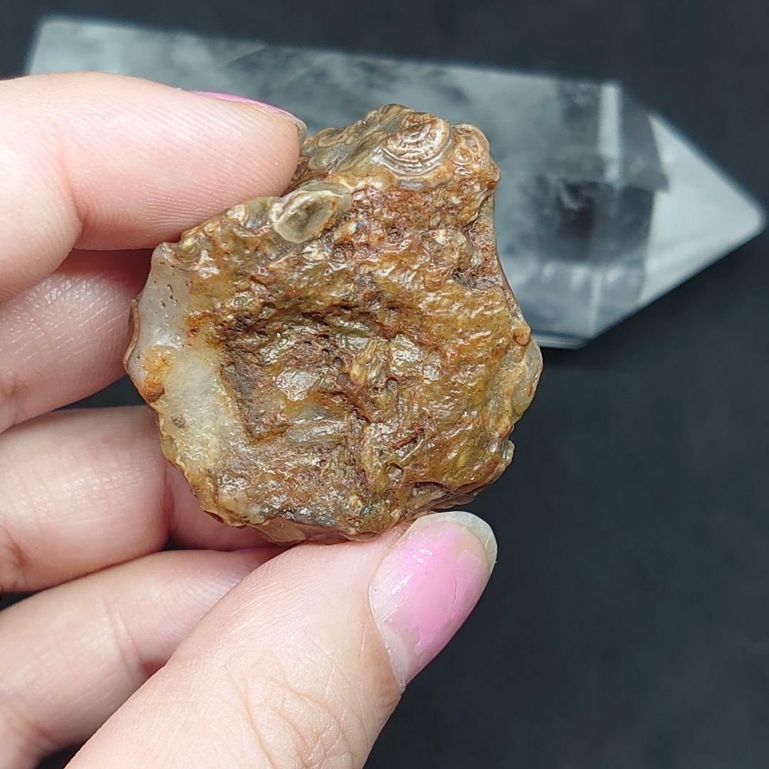 アラシャンゴビ瑪瑙 原石 赤眼石 置物 ルース ゴビ瑪瑙 ゴビ石