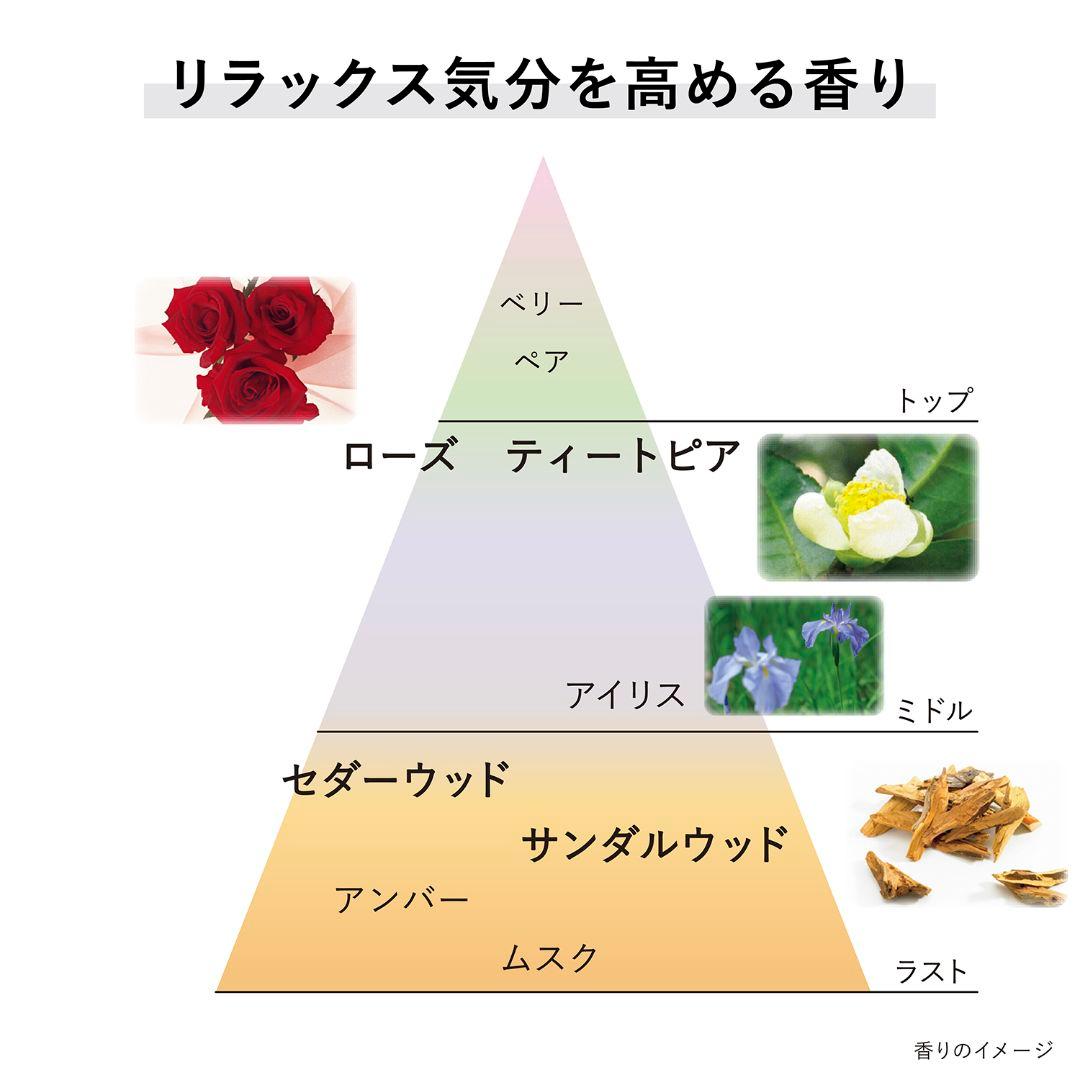 新品 KANEBO カネボウ クリーム イン ナイトⅡ 50g