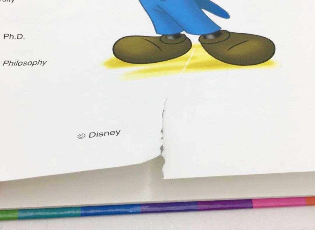 2017年購入！メインプログラムフルセット　新子役　ディズニー英語　DWE