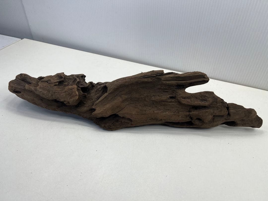 k42アク抜き済み流木 爬虫類シェルター レイアウト用 インテリア エアプランツ