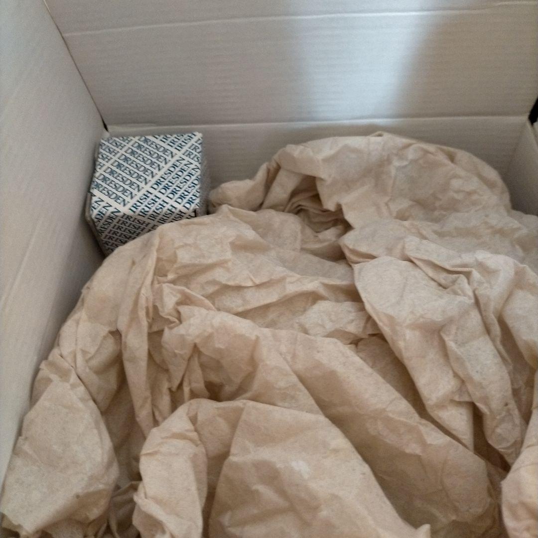 アイリッシュドレスデンリカちゃん　激レア