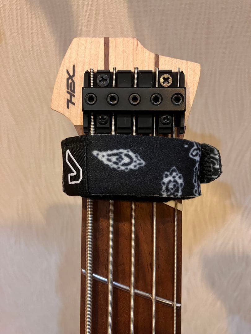 HEX Guitars NB505 Ivory 中古