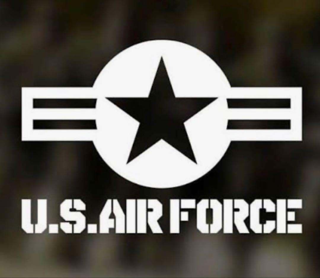 ジャケット・アウター AVIREX MA-1 COMMERCIAL sage color