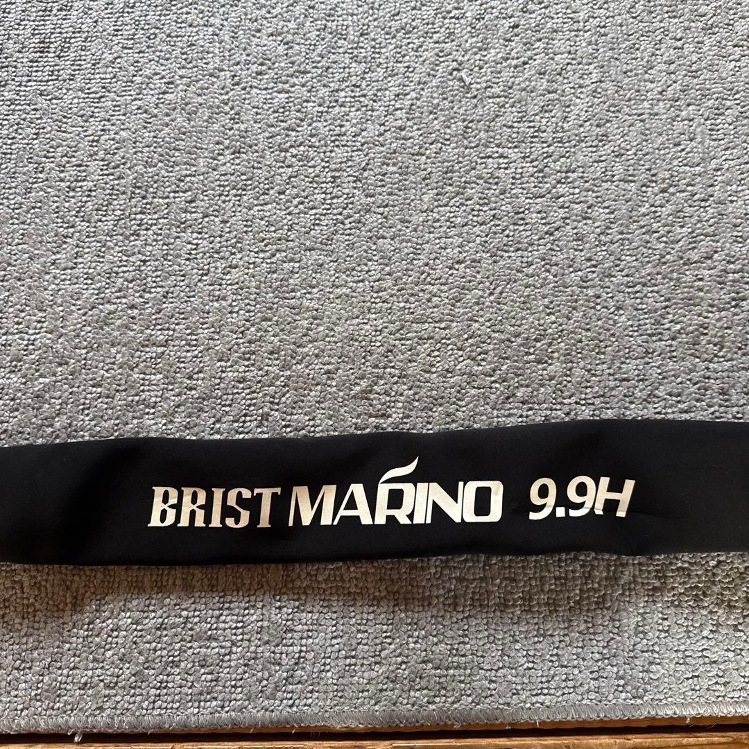 フィッシュマン　ブリストマリノ　9.9H