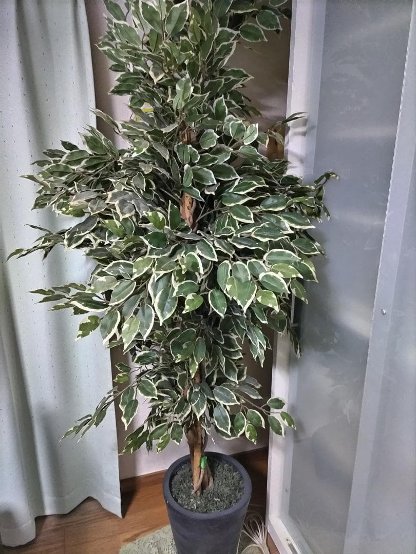 人工　観葉植物