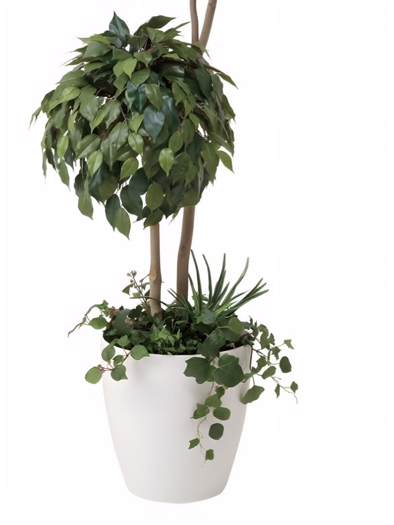 光触媒　人工観葉植物　フェイクグリーン　ベンジャミンダブルフェイス植栽付1.8m