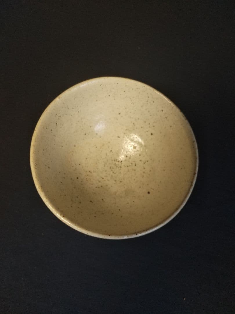 上口愚朗作 : 愚朗井戸茶碗 (共箱)