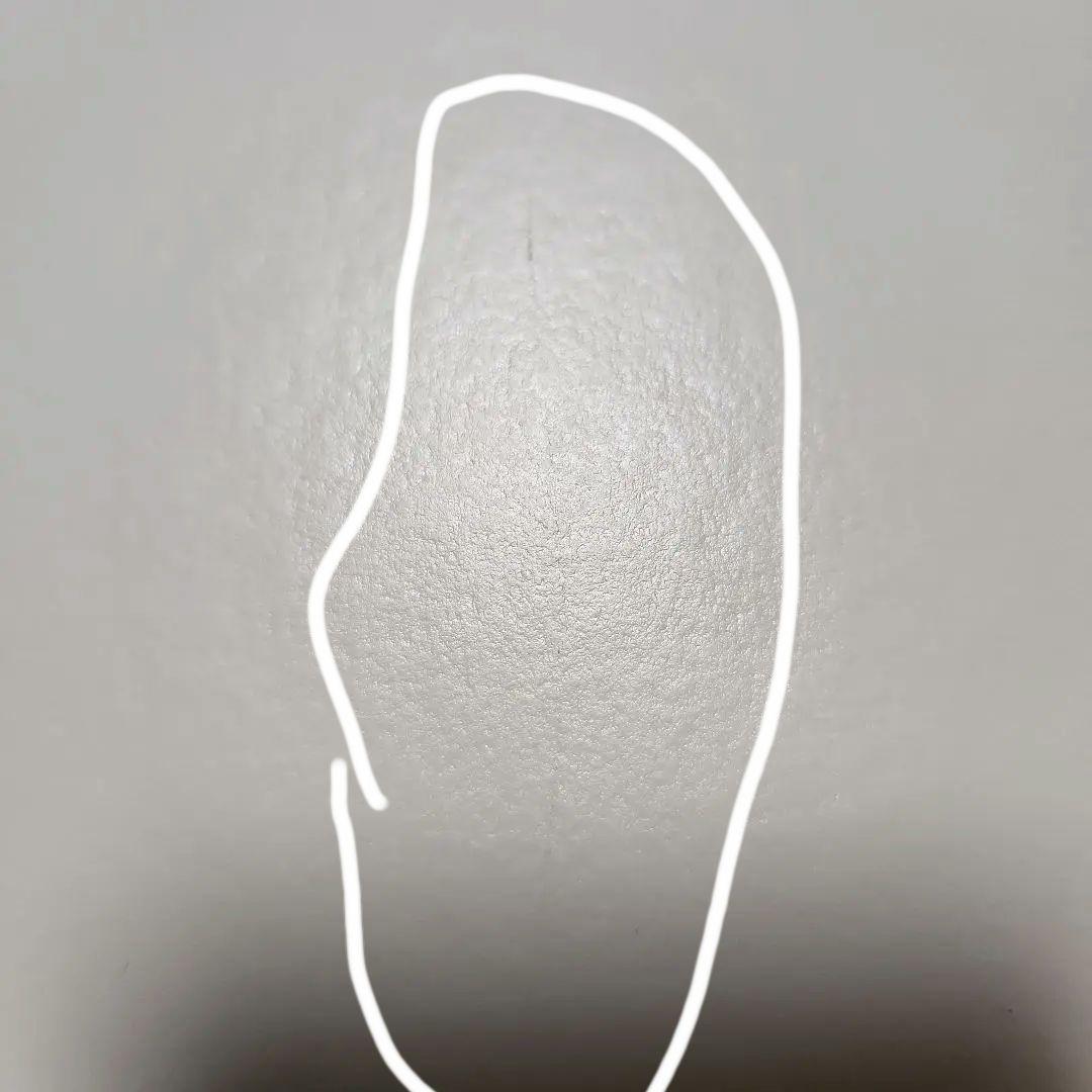 グローブトロッター　サファリ　6スロットウォッチケース　銀座にて購入