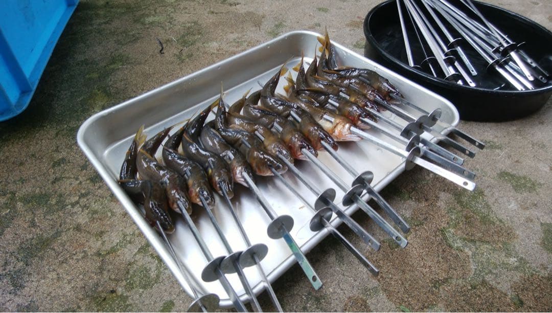 キンカ串焼ろばた 大 φ420×145