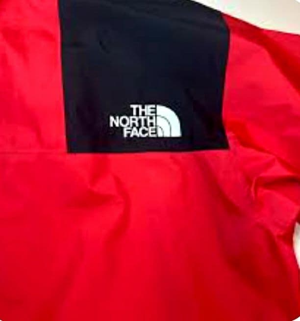 ザ・ノース・フェイスマウンテンレインテックス カーマイン L美品！