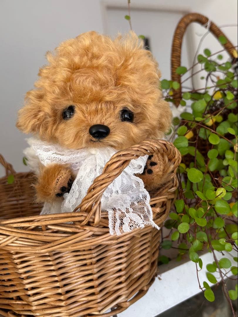 テディプードル　テディわんこ　ぬいぐるみ　プードル　ハンドメイド