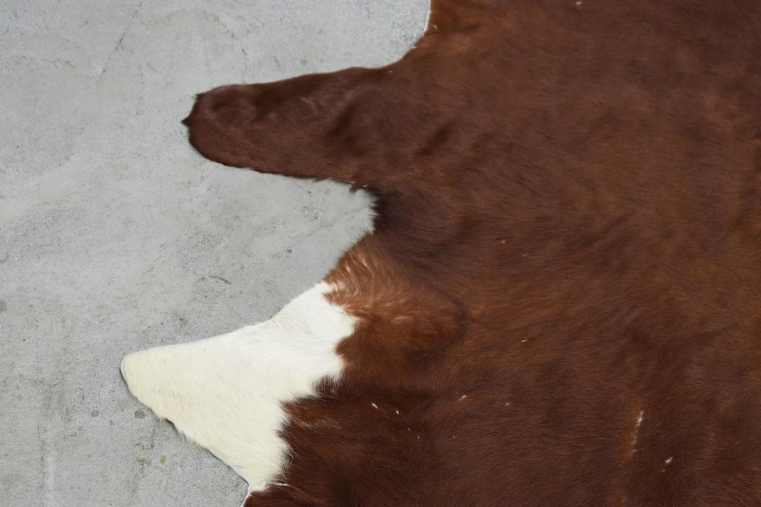 牛革 本革 カウラグ 220×197 カーペット 絨毯 敷物 大判 毛皮