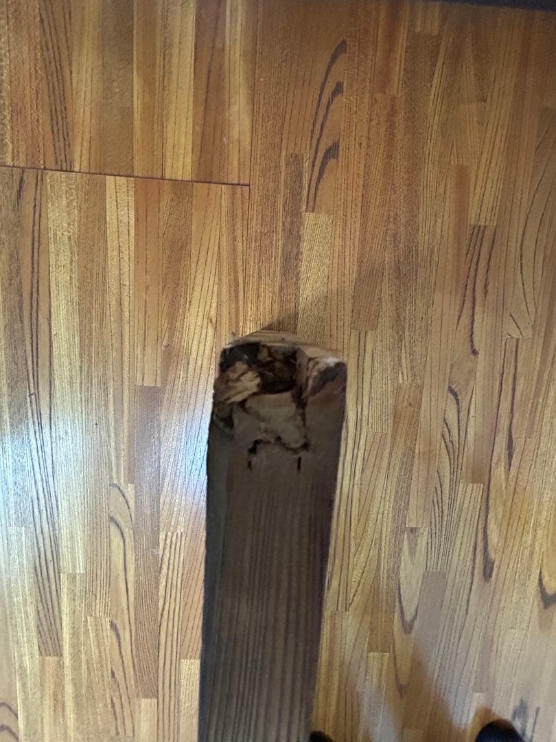 世界自然遺産　屋久島の屋久杉　高級　欄間板　２枚セット