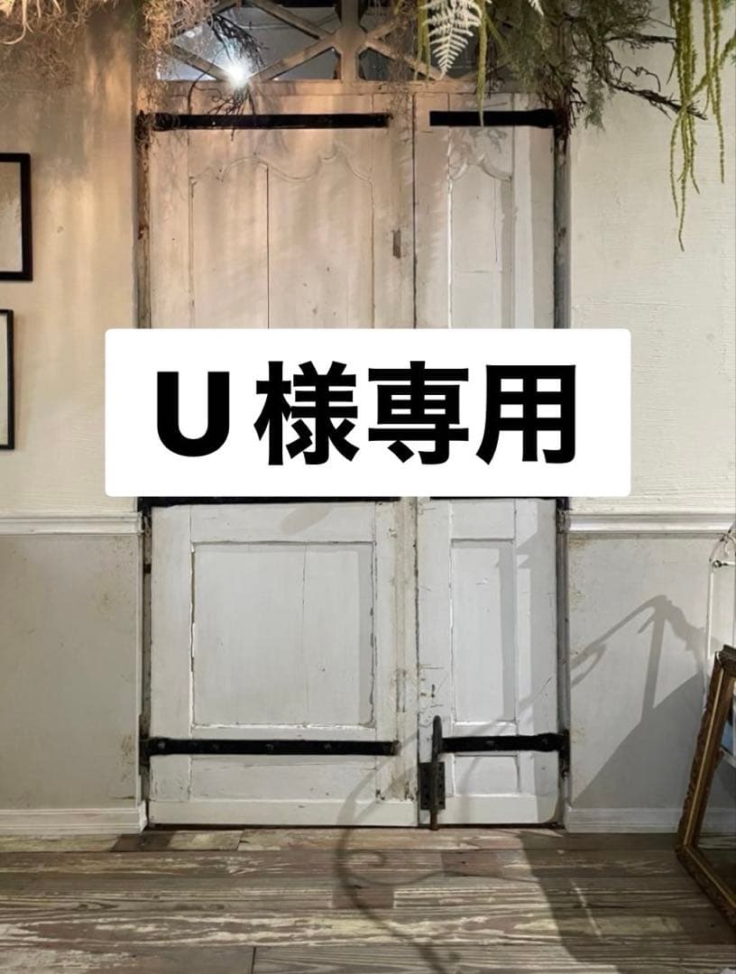 （特別価格）door