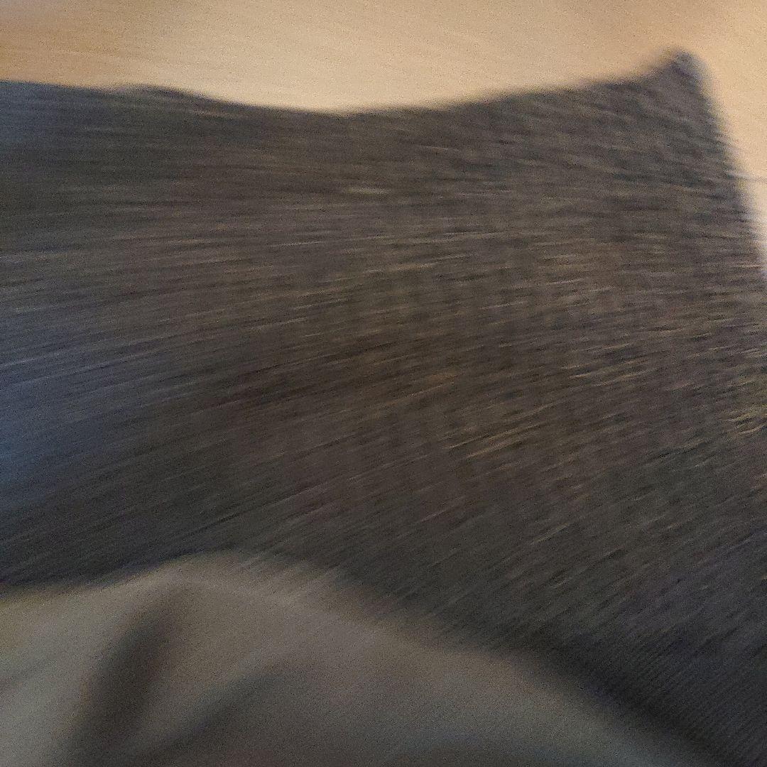 フィッチェウォーモヨシユキコニシニットコート刺繍がゴージャス 値下げ不可