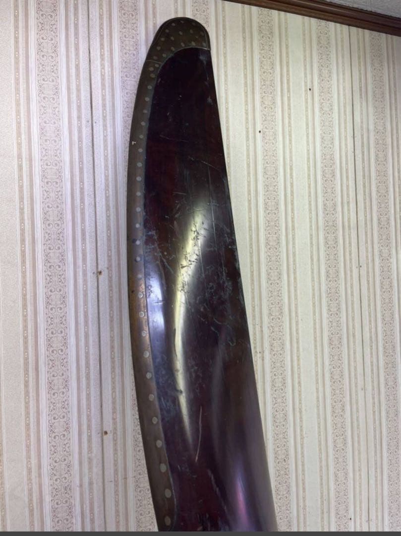 十年式鑑戦機 戦闘機 プロペラ 希少 博物館