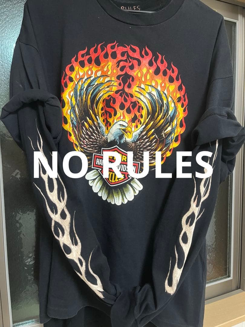 NO RULES オリジナル　インナー用ロンt 黒　ギルダンL 袖フレイム
