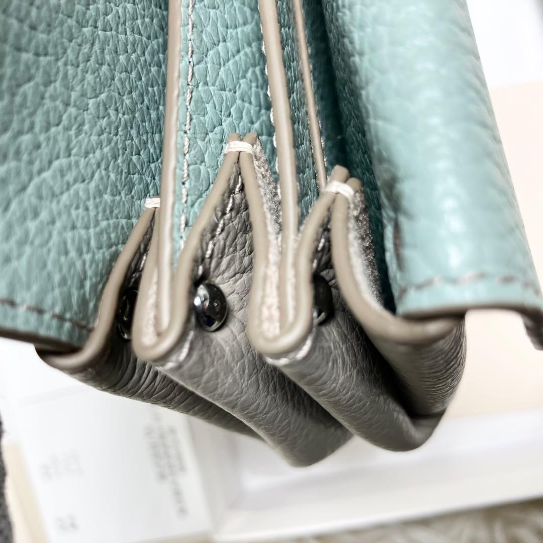 【未使用】 イアクッチ アバウォレットCERVO 付属品完備