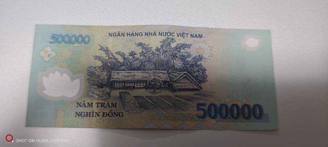 ベトナムドン ベトナム紙幣 ベトナムお金 50万ドン　外国紙幣