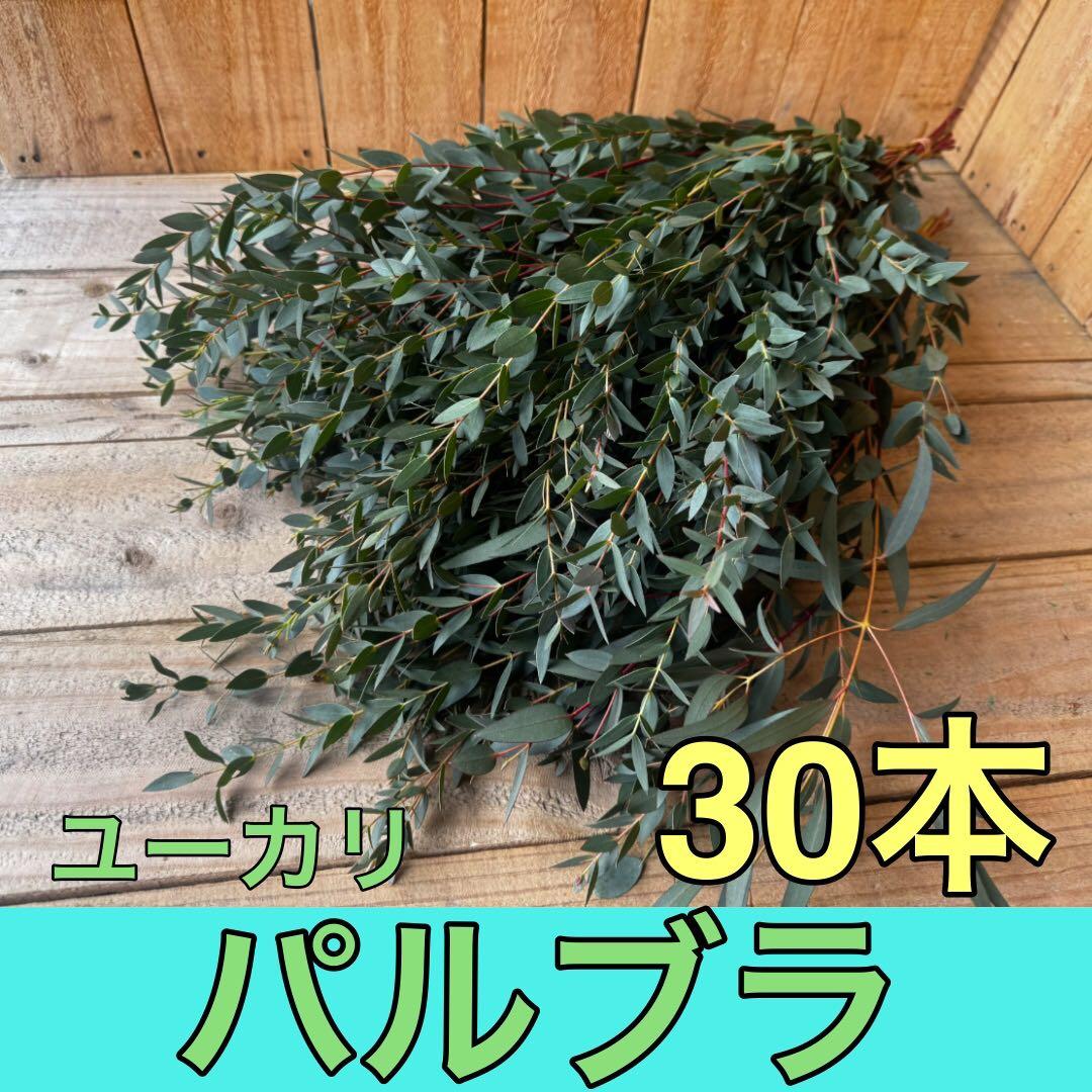 FLEUR8192020様 リクエスト 3点 まとめ商品