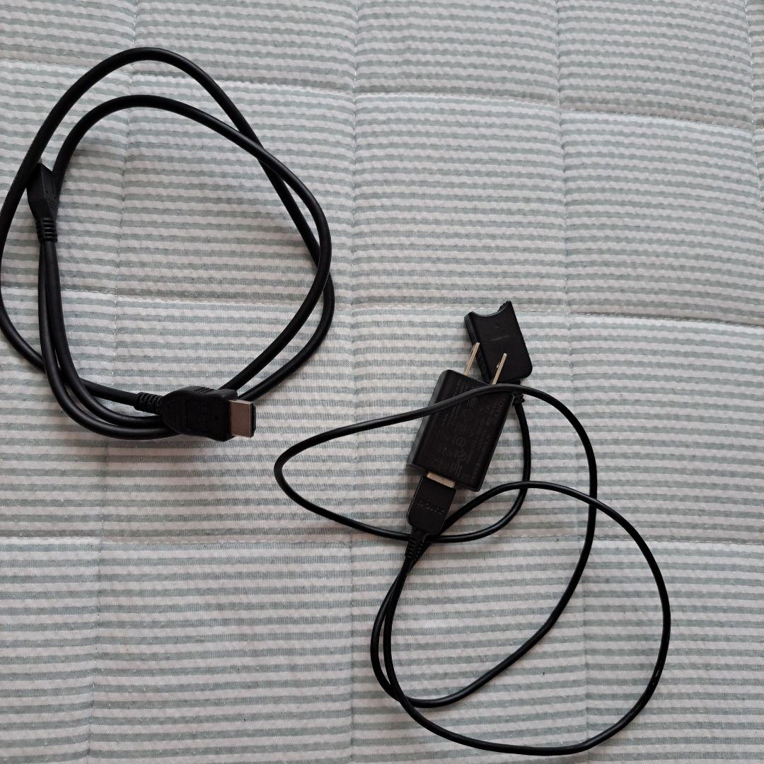 ソニーハンディーカム