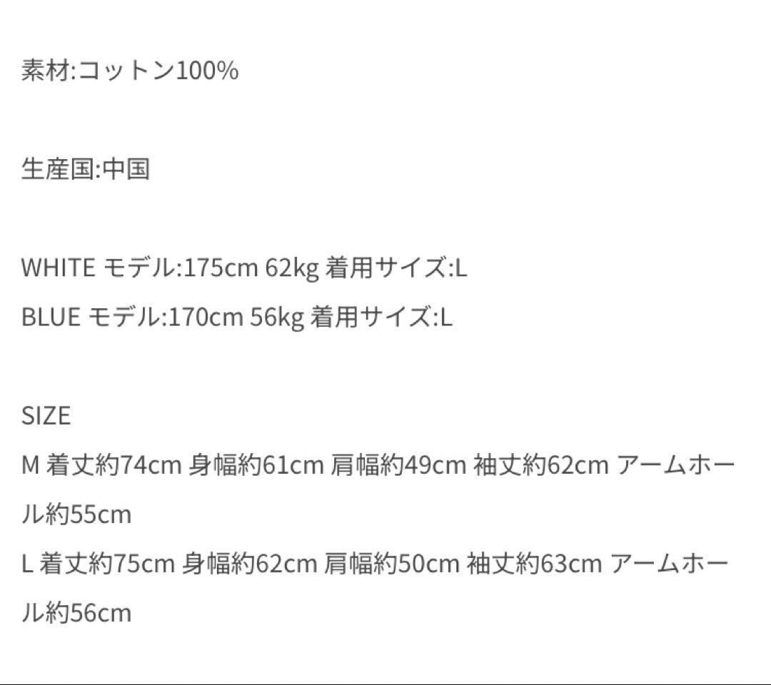 【ほぼ未使用】タウンクラフト 60S オンブレチェックシャツ ブルー M