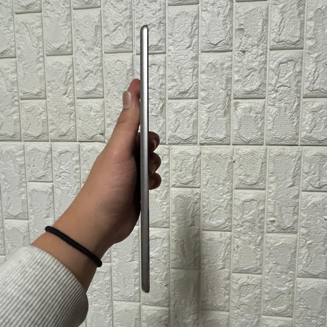Apple iPad mini4 容量64GB