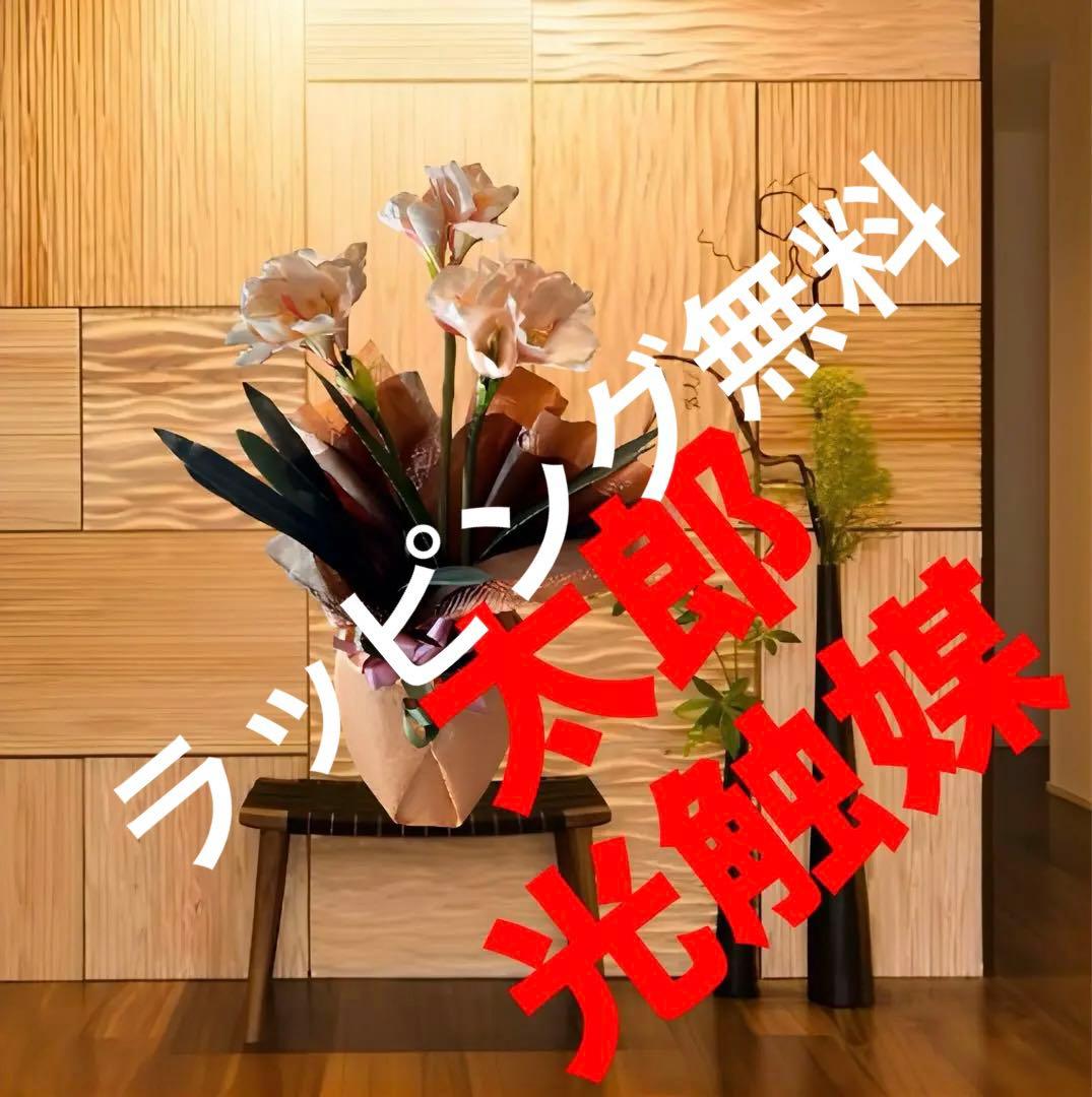 光触媒　人工観葉植物　ウォールグリーン　フェイクグリーン　胡蝶蘭　アマリリスsp